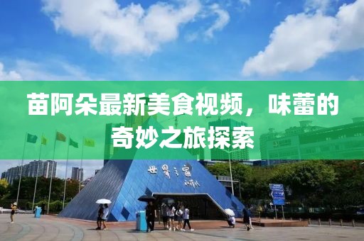苗阿朵最新美食视频，味蕾的奇妙之旅探索