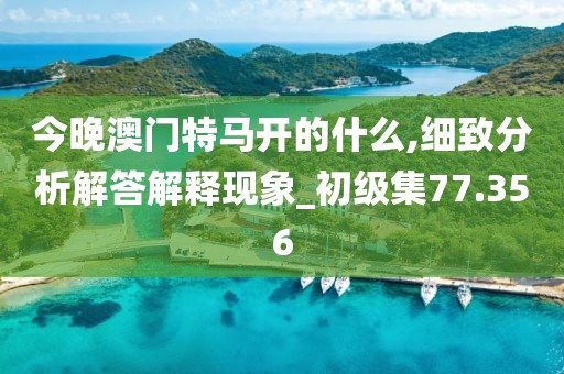 今晚澳门特马开的什么,细致分析解答解释现象_初级集77.356