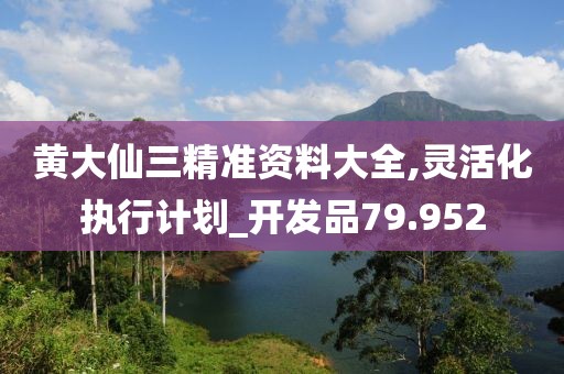黄大仙三精准资料大全,灵活化执行计划_开发品79.952