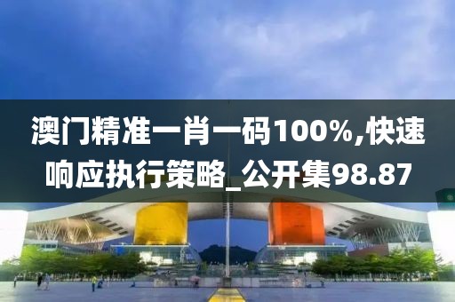 澳门精准一肖一码100%,快速响应执行策略_公开集98.87