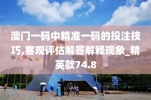 澳门一码中精准一码的投注技巧,客观评估解答解释现象_精英款74.8