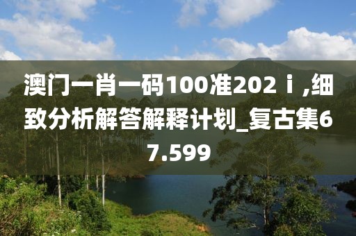 澳门一肖一码100准202ⅰ,细致分析解答解释计划_复古集67.599