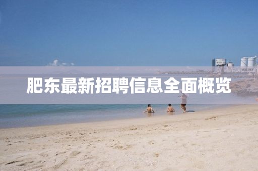 肥东最新招聘信息全面概览