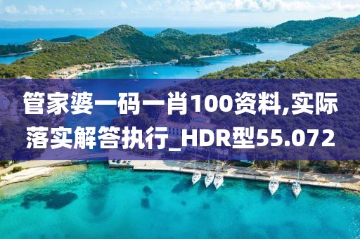 管家婆一码一肖100资料,实际落实解答执行_HDR型55.072