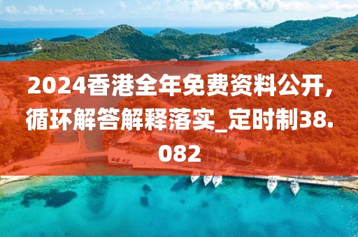 2024香港全年免费资料公开,循环解答解释落实_定时制38.082