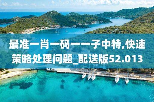 最准一肖一码一一子中特,快速策略处理问题_配送版52.013