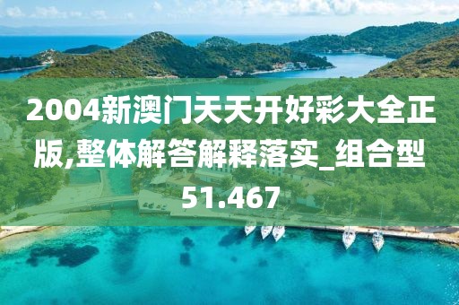 2004新澳门天天开好彩大全正版,整体解答解释落实_组合型51.467