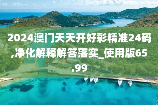 2024澳门天天开好彩精准24码,净化解释解答落实_使用版65.99
