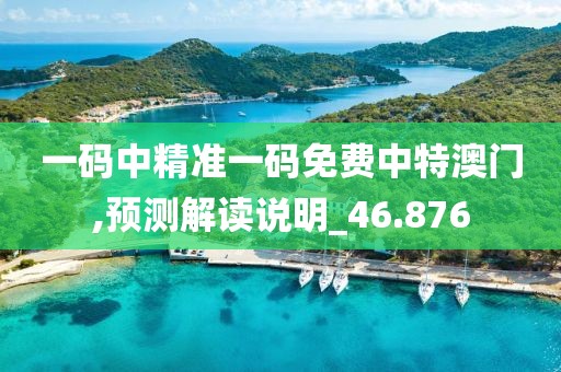 一码中精准一码免费中特澳门,预测解读说明_46.876