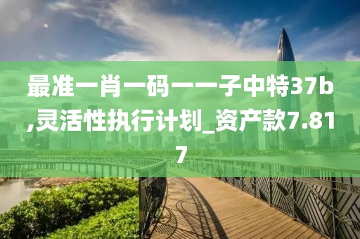 最准一肖一码一一子中特37b,灵活性执行计划_资产款7.817