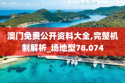澳门免费公开资料大全,完整机制解析_场地型78.074