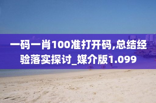 一码一肖100准打开码,总结经验落实探讨_媒介版1.099