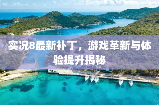 实况8最新补丁，游戏革新与体验提升揭秘