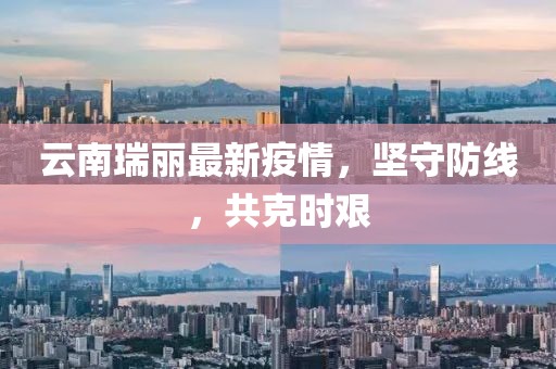云南瑞丽最新疫情，坚守防线，共克时艰