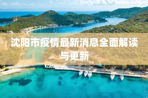 沈阳市疫情最新消息全面解读与更新