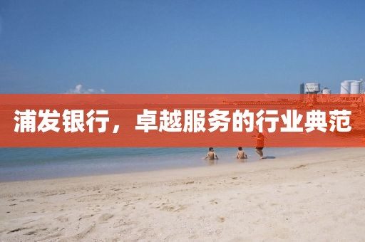 浦发银行，卓越服务的行业典范