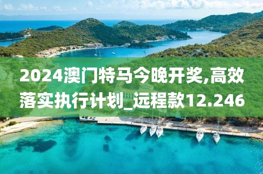 2024澳门特马今晚开奖,高效落实执行计划_远程款12.246