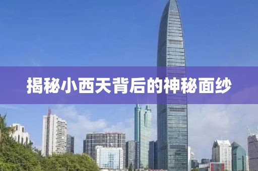 揭秘小西天背后的神秘面纱