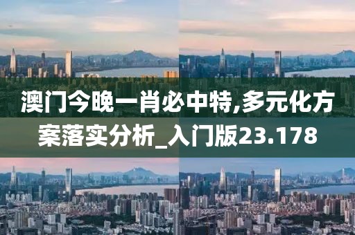 澳门今晚一肖必中特,多元化方案落实分析_入门版23.178