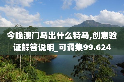今晚澳门马出什么特马,创意验证解答说明_可调集99.624