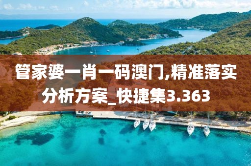 管家婆一肖一码澳门,精准落实分析方案_快捷集3.363