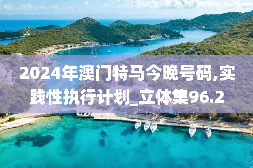 2024年澳门特马今晚号码,实践性执行计划_立体集96.2