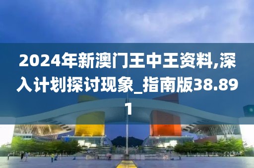 2024年新澳门王中王资料,深入计划探讨现象_指南版38.891