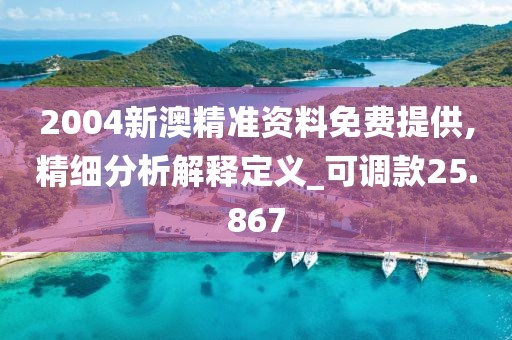 2004新澳精准资料免费提供,精细分析解释定义_可调款25.867