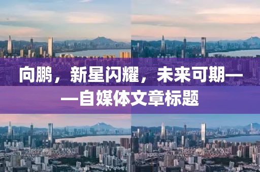 向鹏，新星闪耀，未来可期——自媒体文章标题