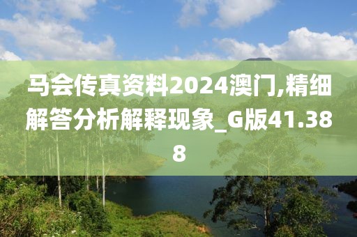 马会传真资料2024澳门,精细解答分析解释现象_G版41.388