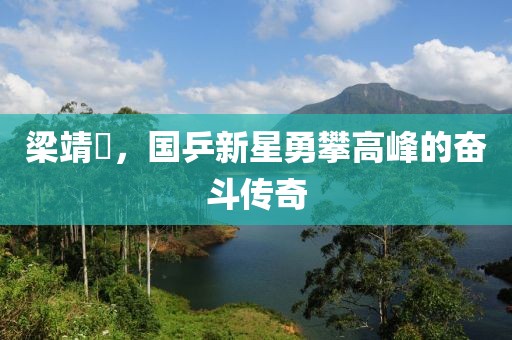 梁靖崑，国乒新星勇攀高峰的奋斗传奇