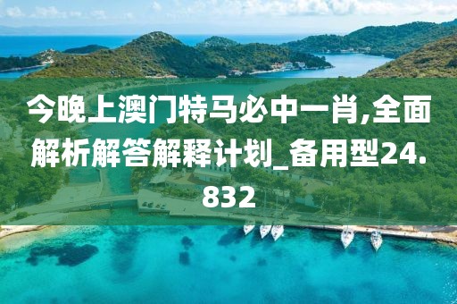 今晚上澳门特马必中一肖,全面解析解答解释计划_备用型24.832