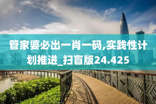 管家婆必出一肖一码,实践性计划推进_扫盲版24.425