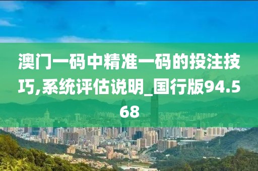 澳门一码中精准一码的投注技巧,系统评估说明_国行版94.568