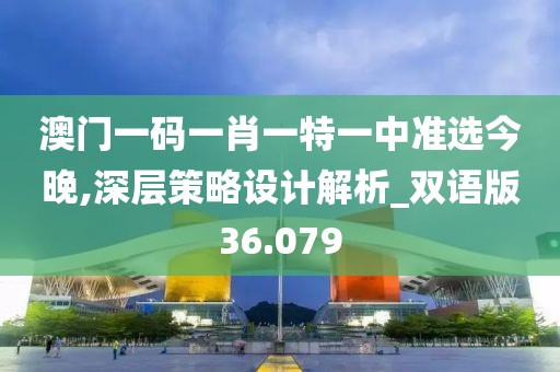 澳门一码一肖一特一中准选今晚,深层策略设计解析_双语版36.079