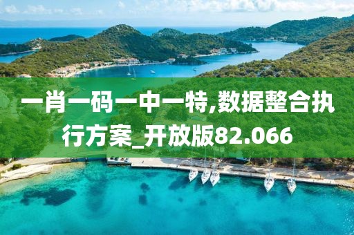一肖一码一中一特,数据整合执行方案_开放版82.066