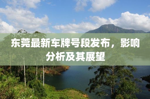 东莞最新车牌号段发布，影响分析及其展望