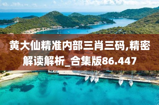 黄大仙精准内部三肖三码,精密解读解析_合集版86.447