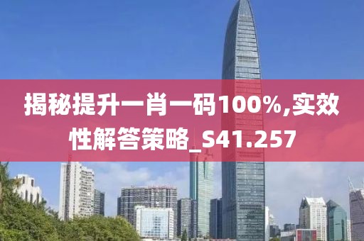 揭秘提升一肖一码100%,实效性解答策略_S41.257