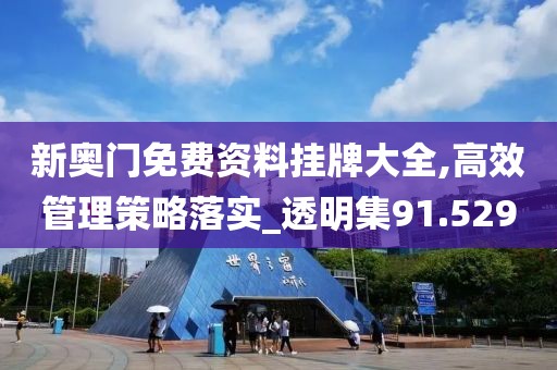 新奥门免费资料挂牌大全,高效管理策略落实_透明集91.529