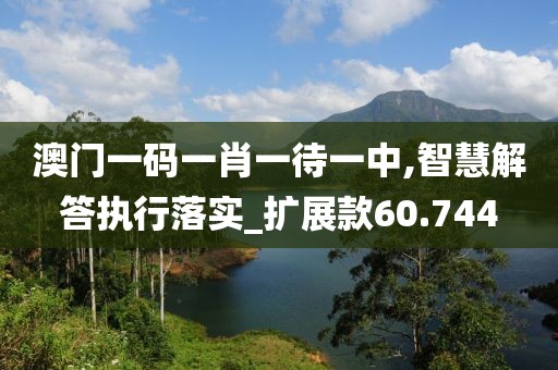 澳门一码一肖一待一中,智慧解答执行落实_扩展款60.744