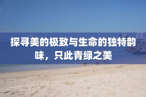 探寻美的极致与生命的独特韵味，只此青绿之美