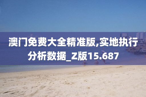 澳门免费大全精准版,实地执行分析数据_Z版15.687