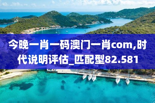 今晚一肖一码澳门一肖com,时代说明评估_匹配型82.581