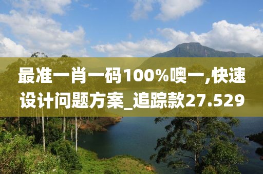最准一肖一码100%噢一,快速设计问题方案_追踪款27.529