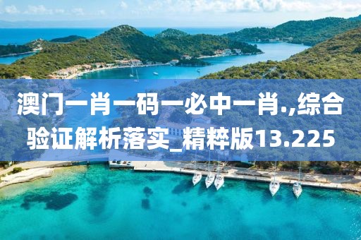 澳门一肖一码一必中一肖.,综合验证解析落实_精粹版13.225