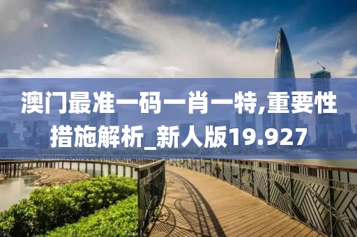 澳门最准一码一肖一特,重要性措施解析_新人版19.927