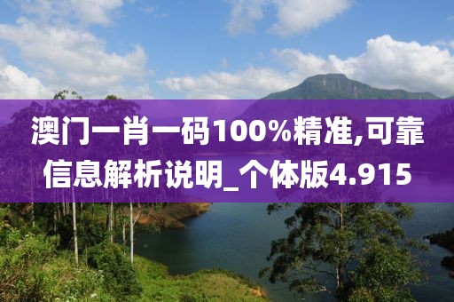 澳门一肖一码100%精准,可靠信息解析说明_个体版4.915
