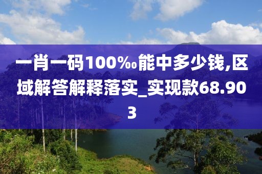 一肖一码100‰能中多少钱,区域解答解释落实_实现款68.903