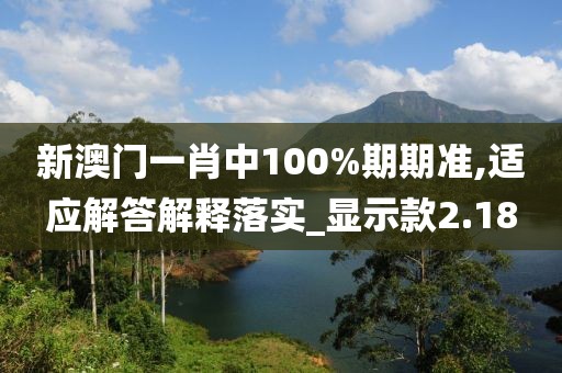 新澳门一肖中100%期期准,适应解答解释落实_显示款2.18
